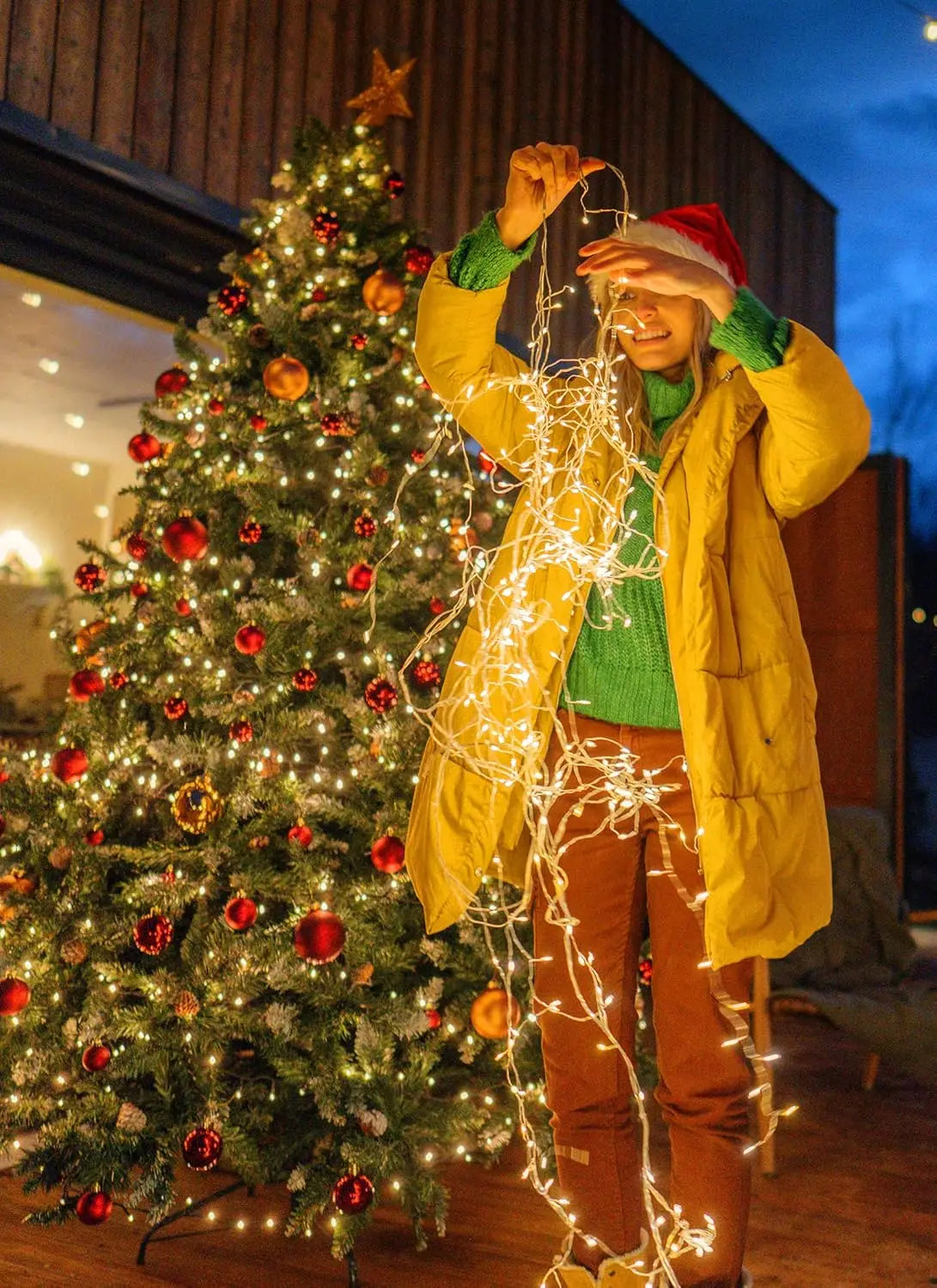 Twinkle Firework String Lights