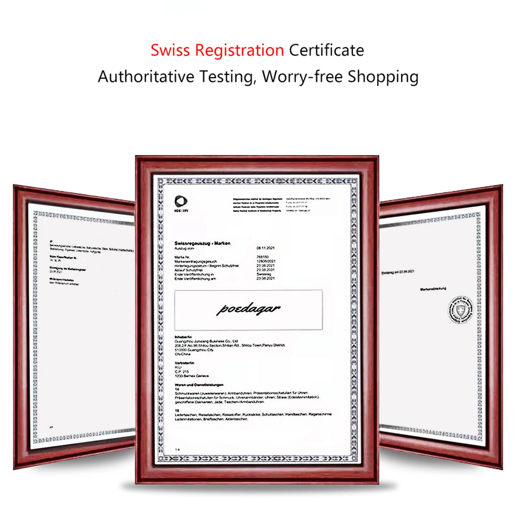 POEDAGAR Luxury Men's Quartz Watch