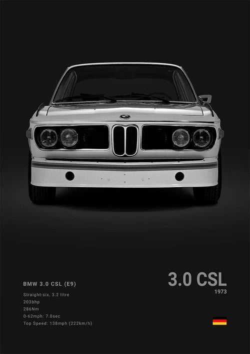 Luxury Sports Cars Canvas Wall Art Poster