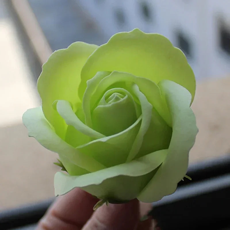 50pcs Artificial Rose Heads