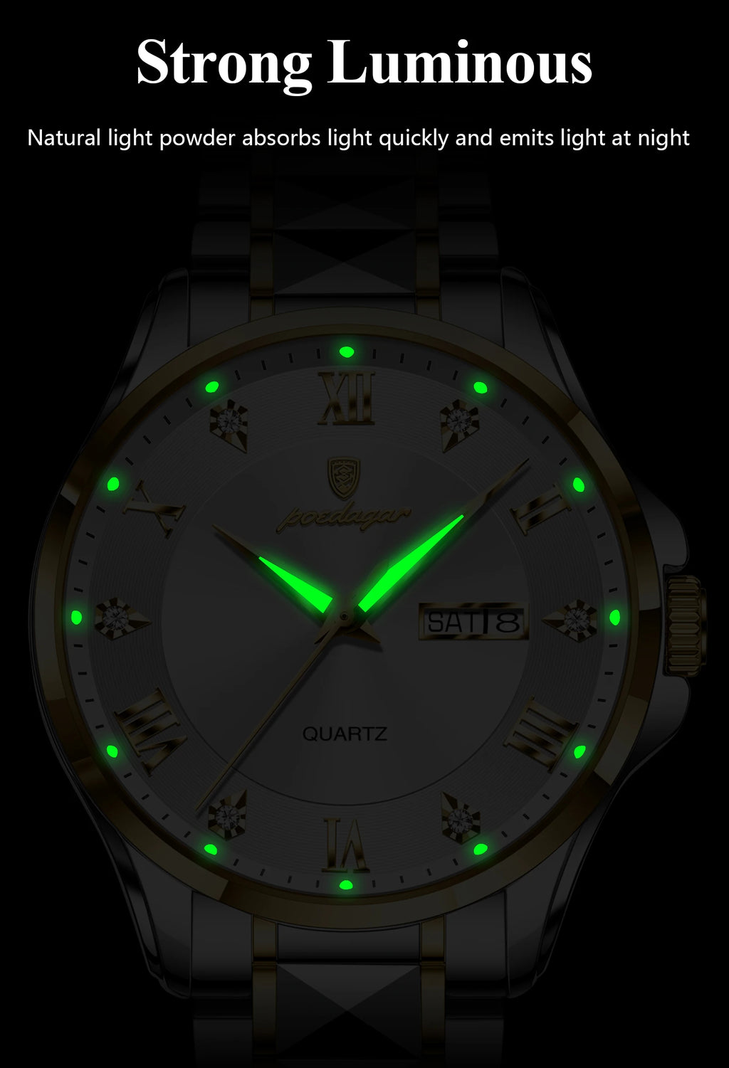 POEDAGAR Luxury Men's Quartz Watch